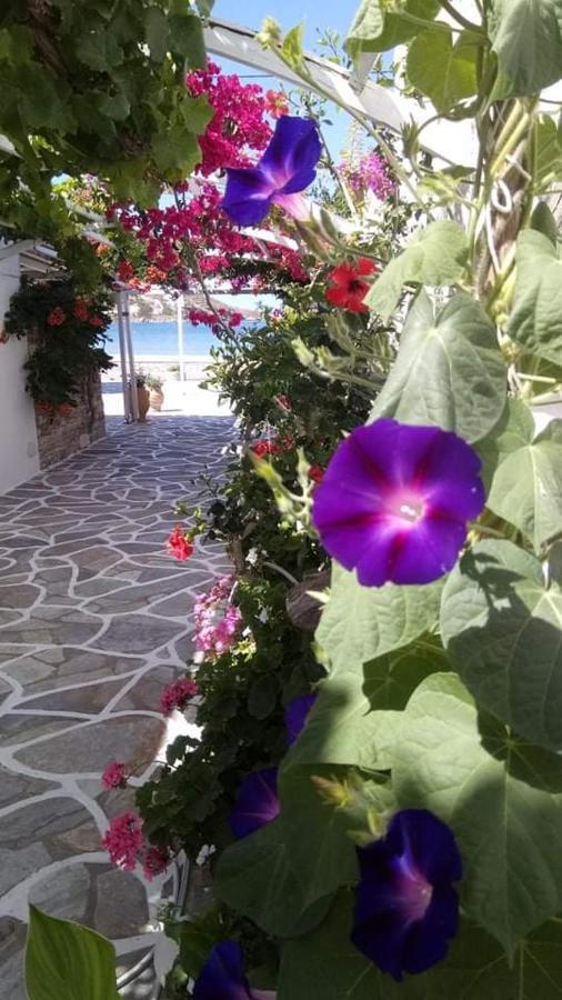 Mare Monte