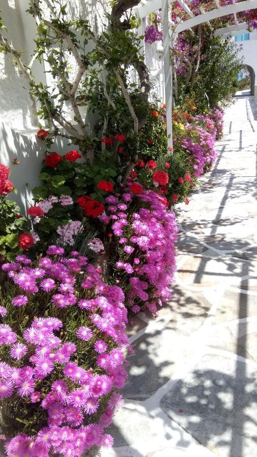 Hotel Mare Monte